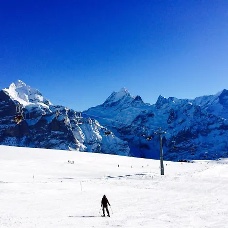 Luxury, New - Amazing Views Eiger Jungfrau Moench *