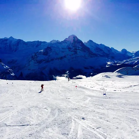Luxury, New - Amazing Views Eiger Jungfrau Moench 그린델발트