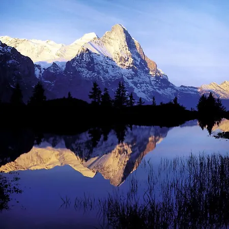 아파트 Luxury, New - Amazing Views Eiger Jungfrau Moench