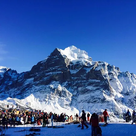 Luxury, New - Amazing Views Eiger Jungfrau Moench شقة