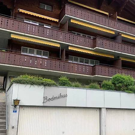 Luxury, New - Amazing Views Eiger Jungfrau Moench Apartamento