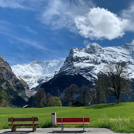 Luxury, New - Amazing Views Eiger Jungfrau Moench * جريندلوالد