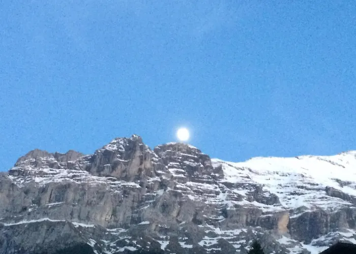 Luxury, New - Amazing Views Eiger Jungfrau Moench