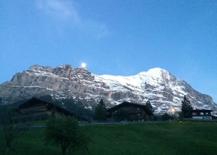 Luxury, New - Amazing Views Eiger Jungfrau Moench Lejlighed