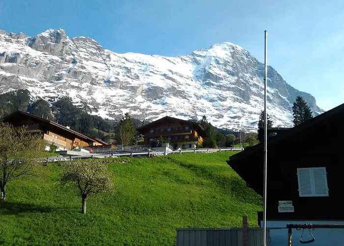 Апартаменты Luxury, New - Amazing Views Eiger Jungfrau Moench *