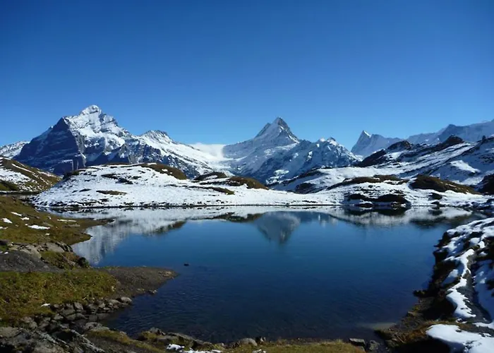 Апартаменты Luxury, New - Amazing Views Eiger Jungfrau Moench Гриндельвальд