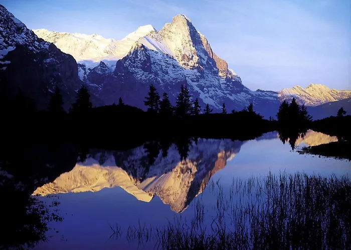 Апартаменты Luxury, New - Amazing Views Eiger Jungfrau Moench