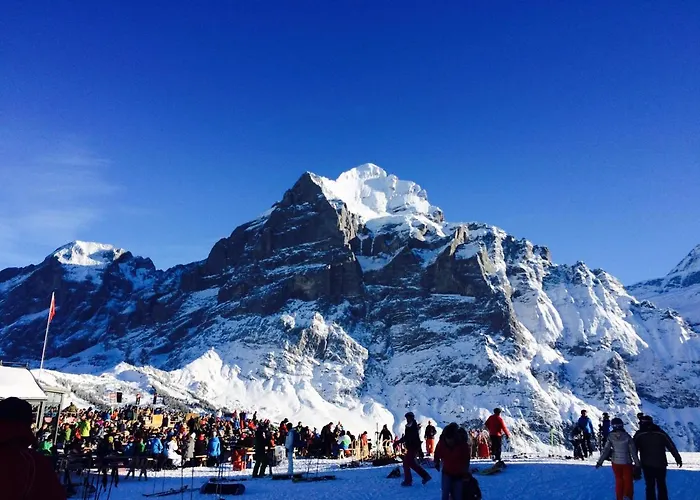 Luxury, New - Amazing Views Eiger Jungfrau Moench Lejlighed