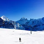 Luxury, New - Amazing Views Eiger Jungfrau Moench *