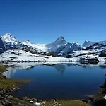 Lägenhet Luxury, New - Amazing Views Eiger Jungfrau Moench Grindelwald