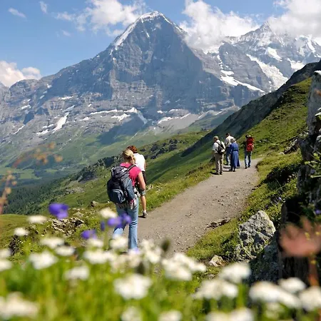 Lägenhet Luxury, New - Amazing Views Eiger Jungfrau Moench
